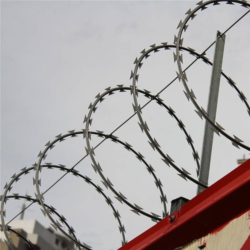 Razor Wire (3)