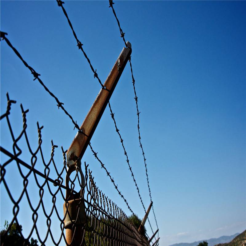 barbed wire (7)