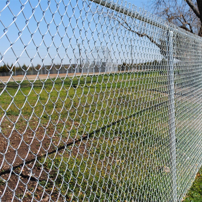 OEM Sports Field Fence
