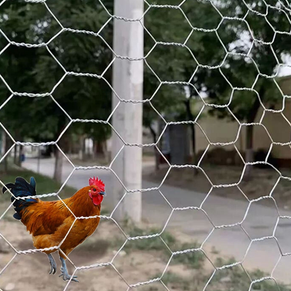 chicken wire mesh 