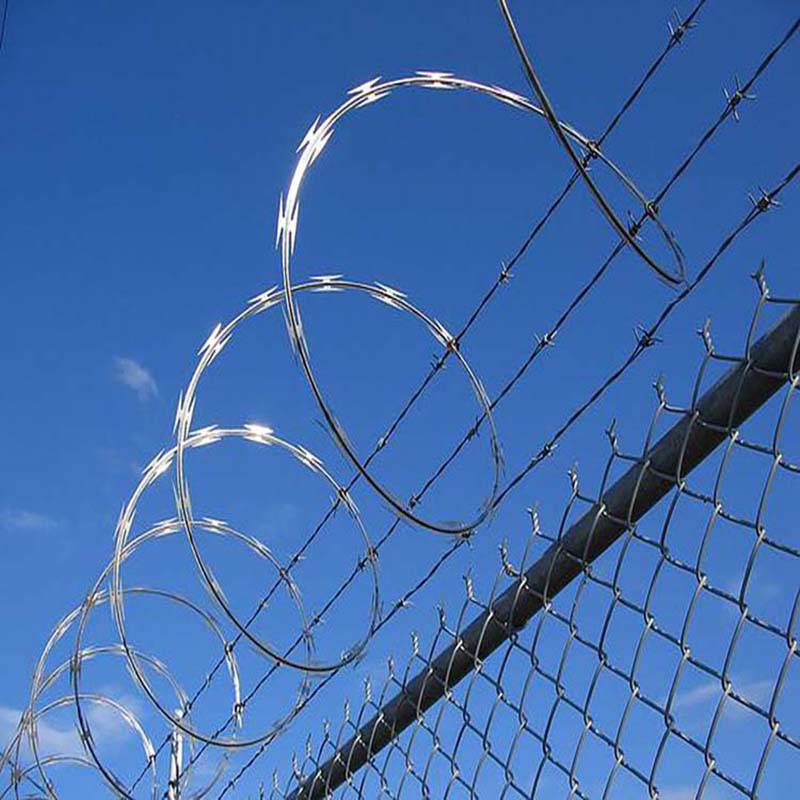 razor wire (10)