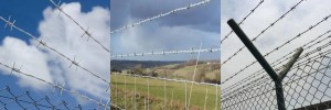 ODM Barbed Wire Mesh, ODM Metal Barbed Wire, ODM Barbed Wire Net, ODM Barbed Wire Prison Pagar